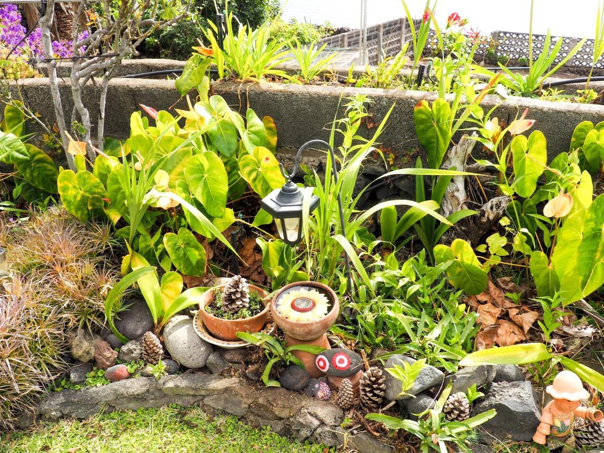 Casa Rural Sobre El Mar 下布雷尼亚 外观 照片